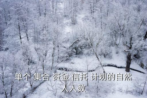 集合資金信托計劃,同鑫99號集合資金信托計劃