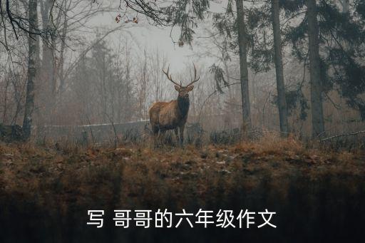 寫 哥哥的六年級作文