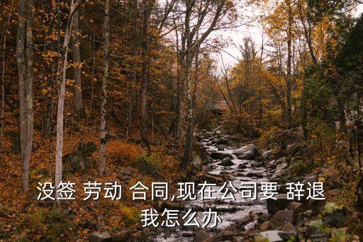 沒有簽署勞動合同被辭退,沒簽署勞動合同被辭退賠償問題