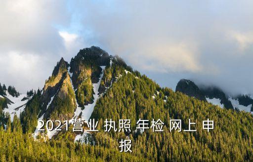 2021營業(yè) 執(zhí)照 年檢 網(wǎng)上 申報