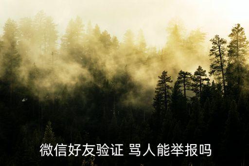  微信好友驗(yàn)證 罵人能舉報(bào)嗎