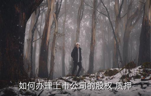 如何辦理上市公司的股權(quán) 質(zhì)押
