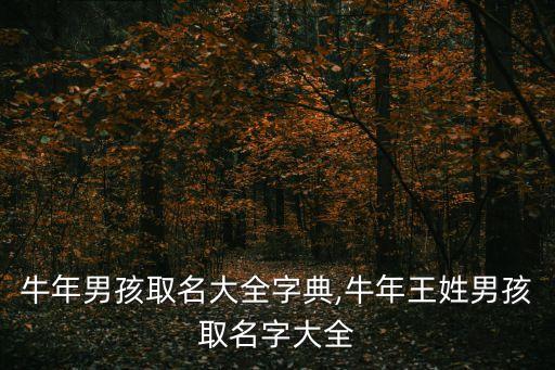 牛年男孩取名大全字典,牛年王姓男孩取名字大全