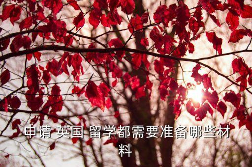  申請 英國 留學(xué)都需要準(zhǔn)備哪些材料