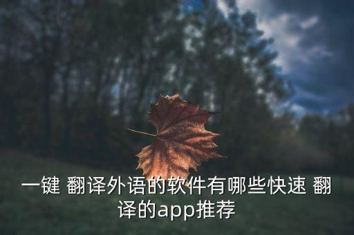 英譯漢在線掃一掃翻譯器,圖片英譯漢在線翻譯器