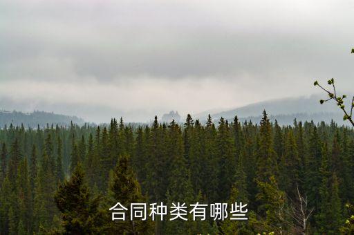  合同種類(lèi)有哪些