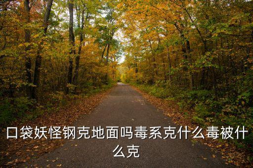 口袋妖怪鋼克地面嗎毒系克什么毒被什么克