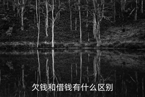 借款和欠款的區(qū)別,借條怎么寫有法律效力