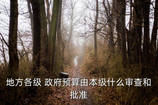 地方政府