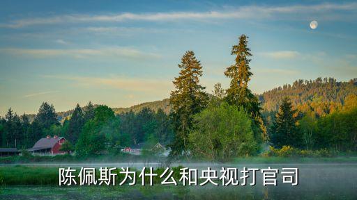 陳佩斯為什么和央視打官司