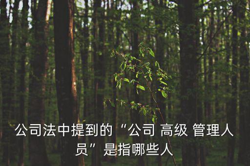 公司法中提到的“公司 高級 管理人員”是指哪些人