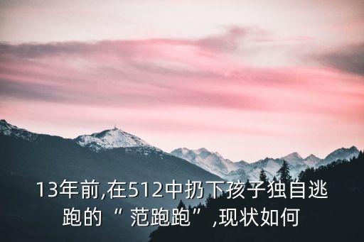 范跑跑事件,2008年汶川地震范跑跑事件