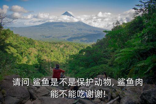 鯊魚可以吃嗎