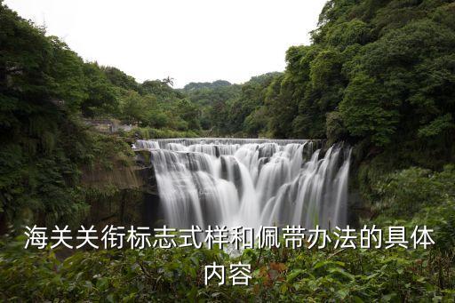  海關(guān)關(guān)銜標(biāo)志式樣和佩帶辦法的具體內(nèi)容