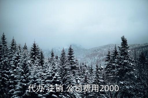 代辦 注銷 公司費(fèi)用2000
