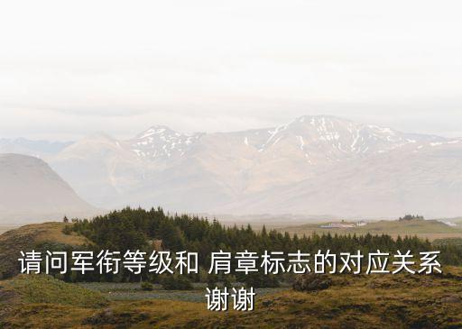 海關(guān)肩章級別大全,2022海關(guān)肩章級別大全