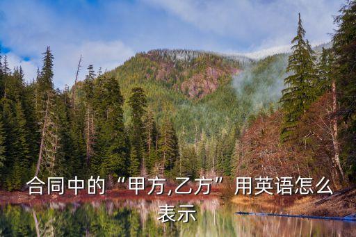  合同中的“甲方,乙方”用英語怎么表示