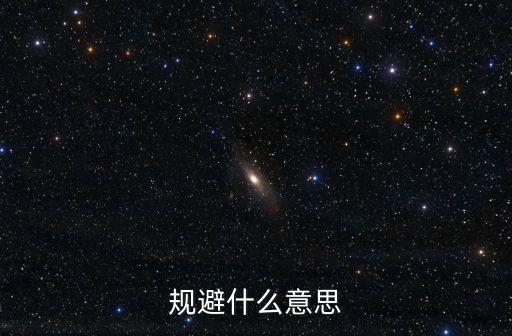 規(guī)避什么意思