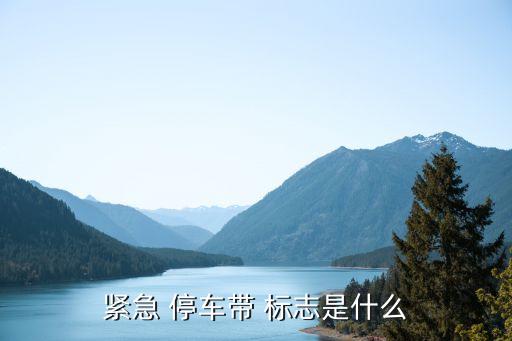 高速臨時停車標志,減速慢行標志牌