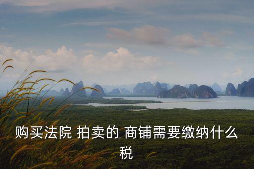 購買法院 拍賣的 商鋪需要繳納什么稅