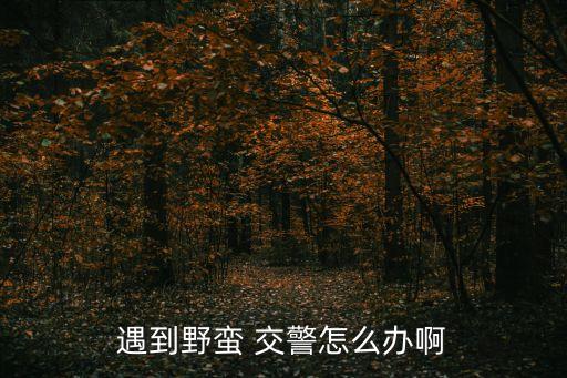 遇到野蠻 交警怎么辦啊