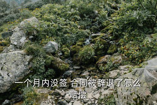  一個月內(nèi)沒簽 合同被辭退了怎么 賠償