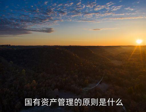 國有財(cái)產(chǎn),國家工作人員利用職務(wù)之便竊取國有財(cái)產(chǎn)