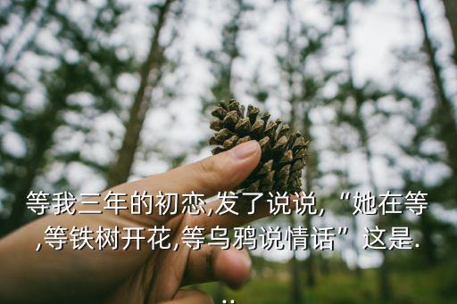 不等了