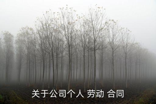 關于公司個人 勞動 合同