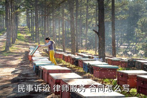 民事訴訟 律師服務(wù) 合同怎么寫(xiě)