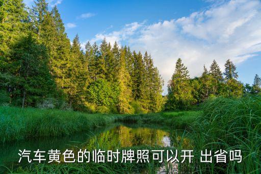 臨牌可以出省嗎,2023臨牌可以出省嗎