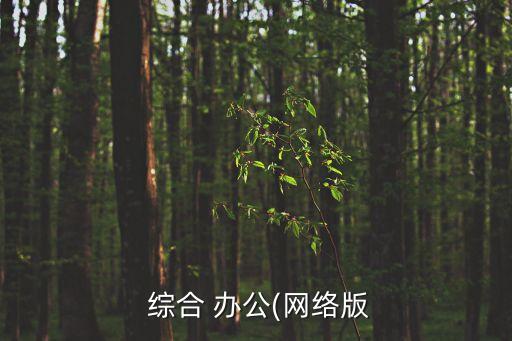  綜合 辦公(網(wǎng)絡(luò)版