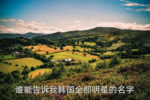誰(shuí)能告訴我韓國(guó)全部明星的名字