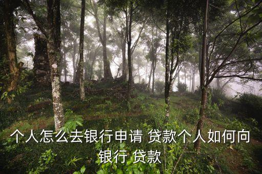 個(gè)人怎么去銀行申請 貸款個(gè)人如何向銀行 貸款