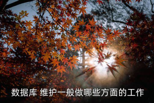  數(shù)據(jù)庫 維護一般做哪些方面的工作