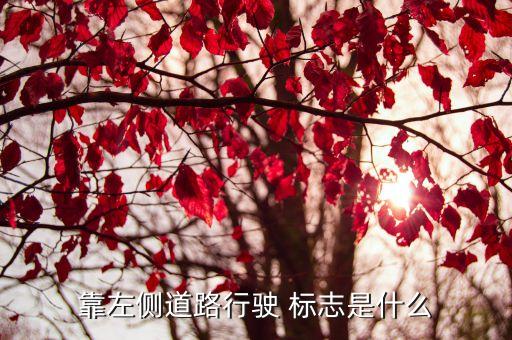 靠左側(cè)道路行駛 標(biāo)志是什么