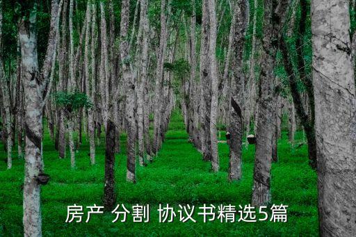 房產(chǎn) 分割 協(xié)議書精選5篇