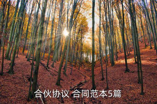 開店合伙人合同協(xié)議書,一起開店合同怎么簽