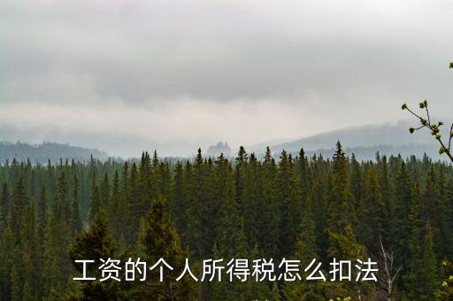 工資的個(gè)人所得稅怎么扣法