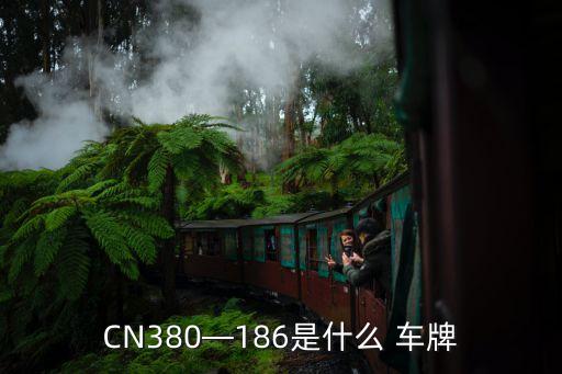 警備車牌,紅底白字警備車牌