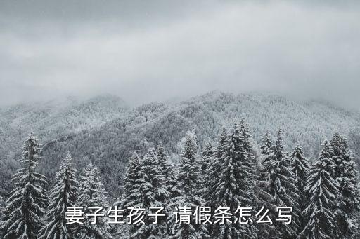 陪產(chǎn)假請假條范文,產(chǎn)假請假條范文免費下載