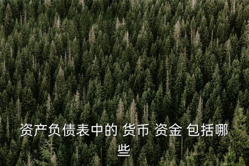 資產(chǎn)負(fù)債表中的 貨幣 資金 包括哪些