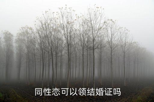 臺灣同性婚姻合法,為什么臺灣同性婚姻合法