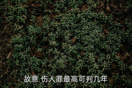 故意 傷人罪最高可判幾年