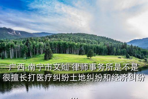 廣西 南寧市文燦 律師事務(wù)所是不是很擅長(zhǎng)打醫(yī)療糾紛土地糾紛和經(jīng)濟(jì)糾紛...
