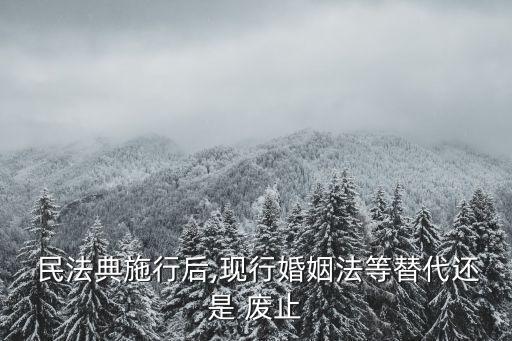  民法典施行后,現(xiàn)行婚姻法等替代還是 廢止