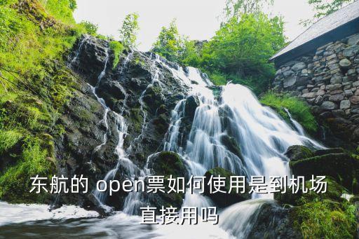 open票是什么意思,永東巴士open票是什么意思