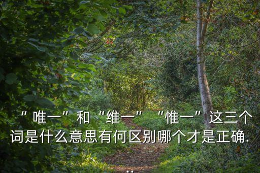 唯一是什么意思,沒有之一只有唯一是什么意思