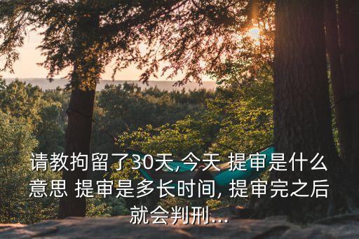 請教拘留了30天,今天 提審是什么意思 提審是多長時間, 提審完之后就會判刑...