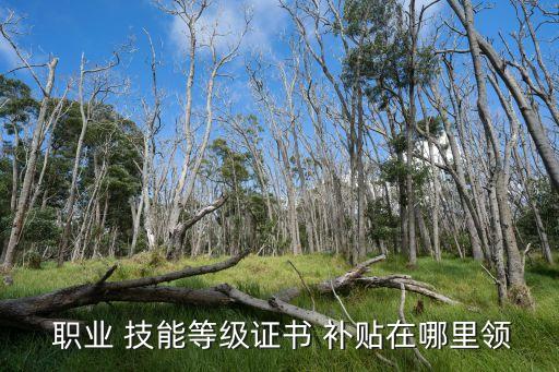 職業(yè)技能提升補貼,什么證書可以領取職業(yè)技能提升補貼
